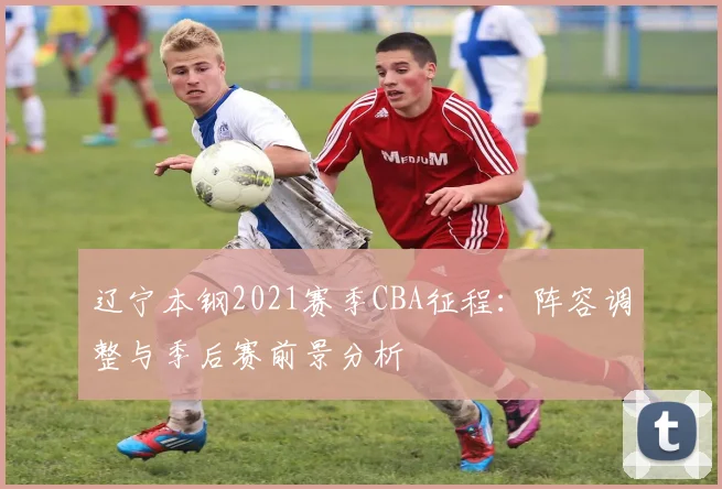 辽宁本钢2021赛季CBA征程:阵容调整与季后赛前景分析