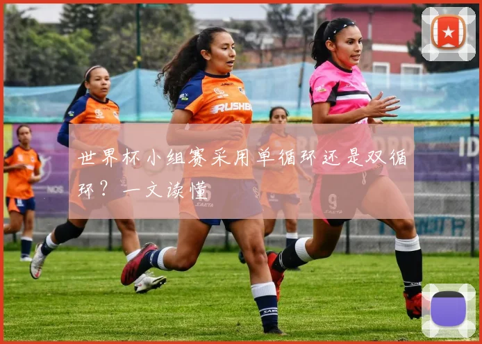 世界杯小组赛采用单循环还是双循环?一文读懂