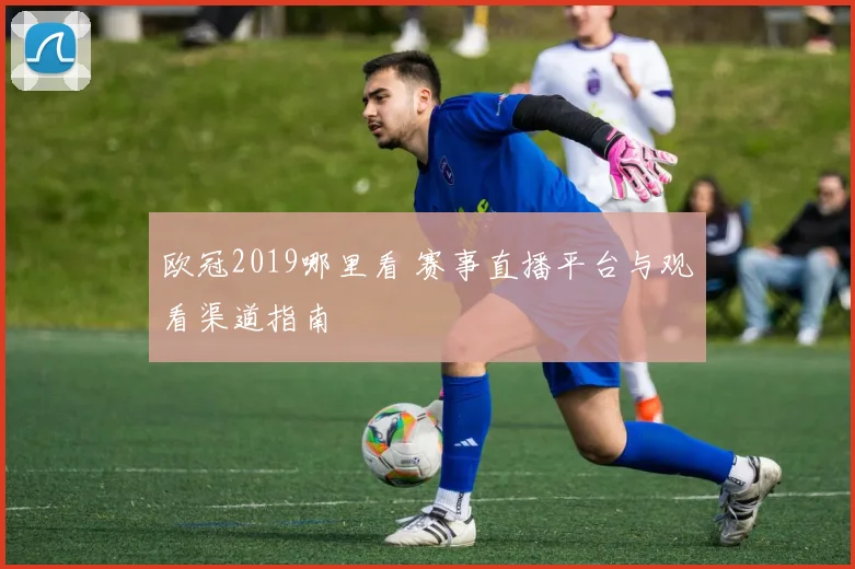 欧冠2019哪里看 赛事直播平台与观看渠道指南