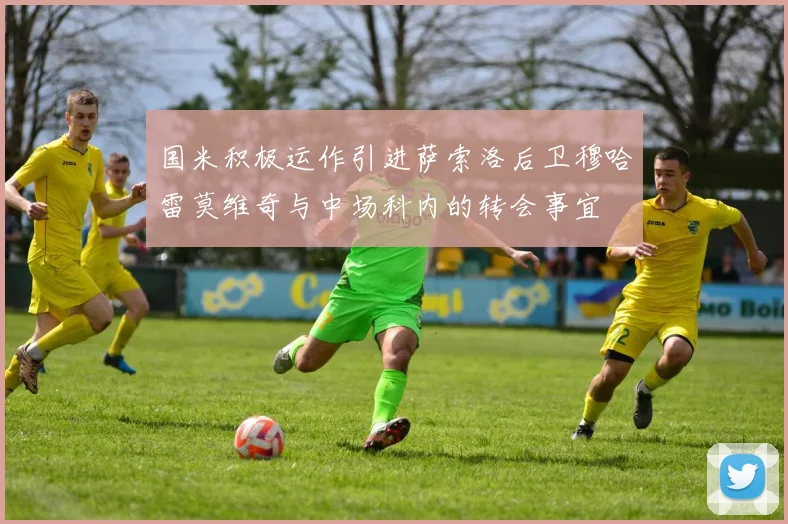 国米积极运作引进萨索洛后卫穆哈雷莫维奇与中场科内的转会事宜