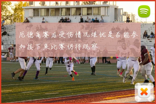 厄德高赛后受伤情况堪忧是否能参加接下来比赛仍待观察
