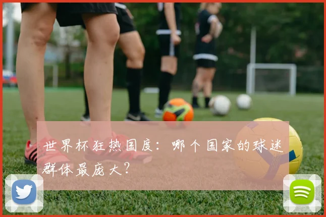 世界杯狂热国度：哪个国家的球迷群体最庞大？