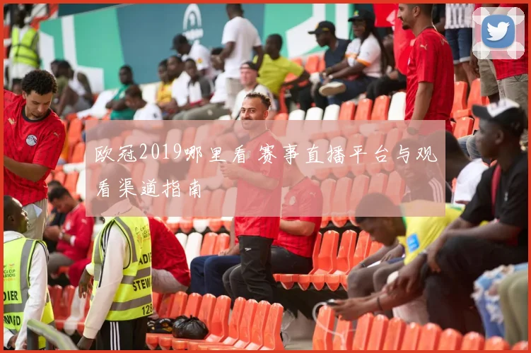 欧冠2019哪里看 赛事直播平台与观看渠道指南