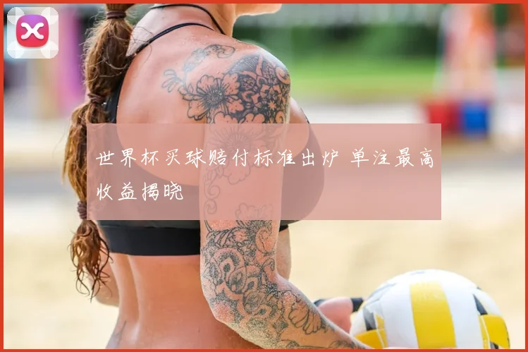 世界杯买球赔付标准出炉 单注最高收益揭晓