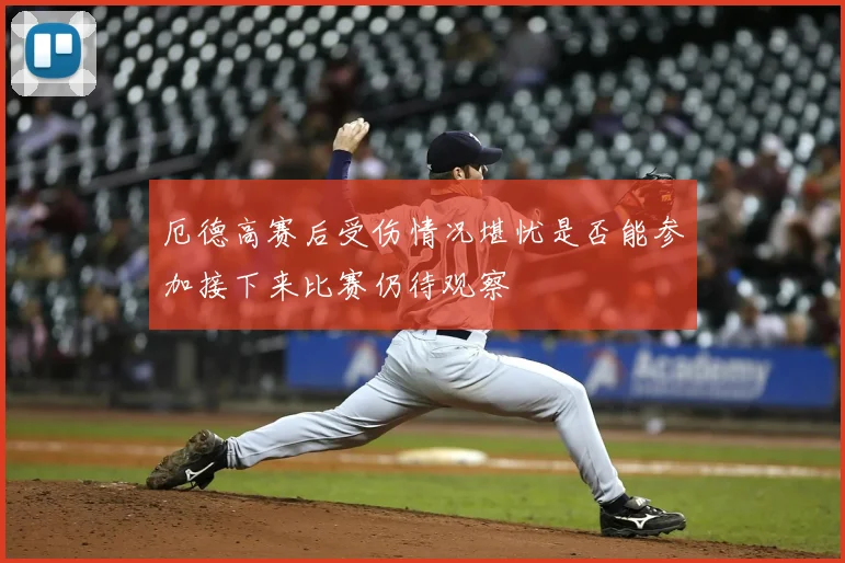 厄德高赛后受伤情况堪忧是否能参加接下来比赛仍待观察