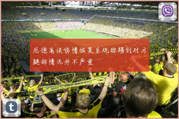 厄德高谈伤情恢复乐观称踢到对方腿部情况并不严重