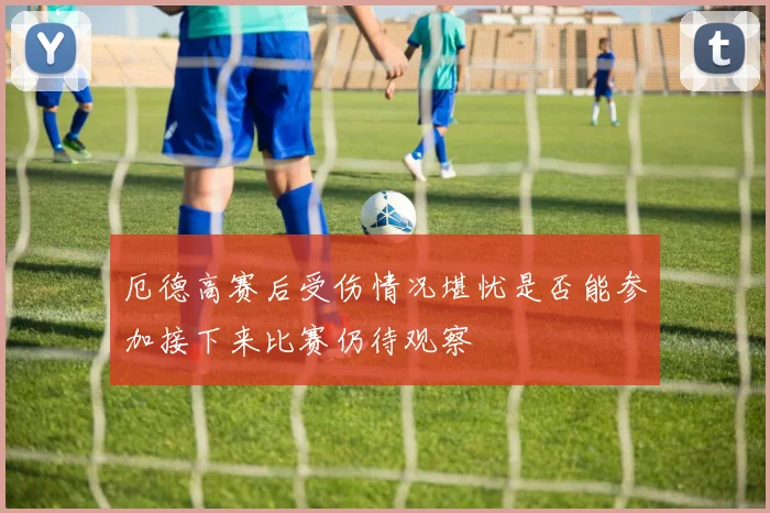 厄德高赛后受伤情况堪忧是否能参加接下来比赛仍待观察