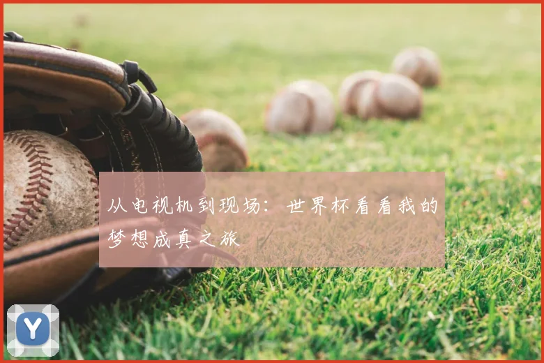 从电视机到现场：世界杯看看我的梦想成真之旅