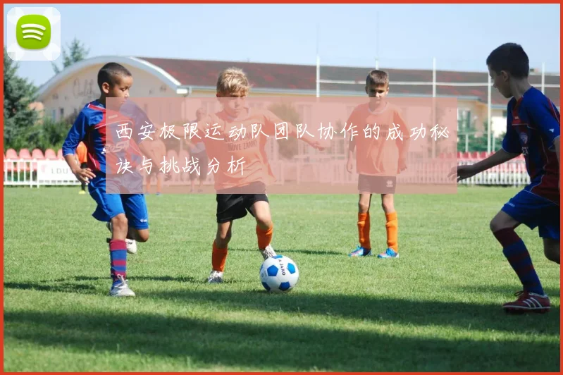 西安极限运动队团队协作的成功秘诀与挑战分析