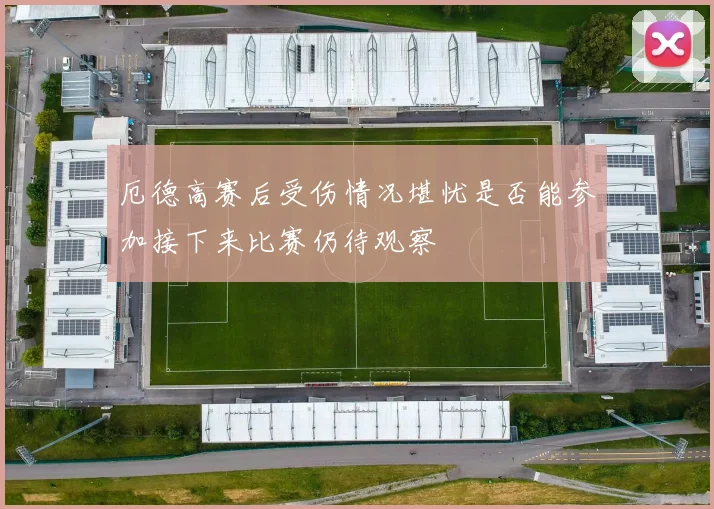 厄德高赛后受伤情况堪忧是否能参加接下来比赛仍待观察