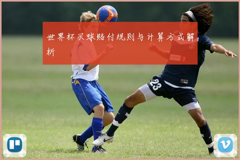 世界杯买球赔付规则与计算方式解析