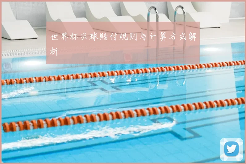 世界杯买球赔付规则与计算方式解析