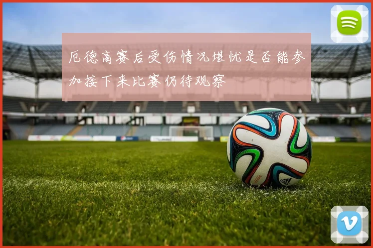 厄德高赛后受伤情况堪忧是否能参加接下来比赛仍待观察