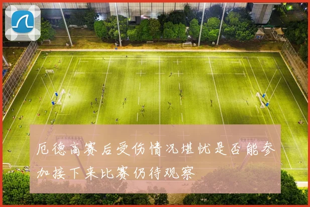 厄德高赛后受伤情况堪忧是否能参加接下来比赛仍待观察