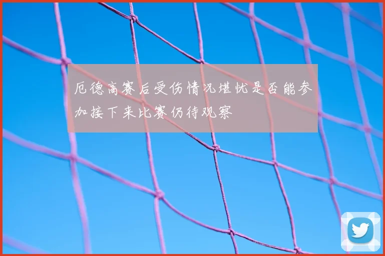 厄德高赛后受伤情况堪忧是否能参加接下来比赛仍待观察