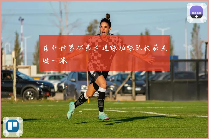 南非世界杯弗兰进球助球队收获关键一球