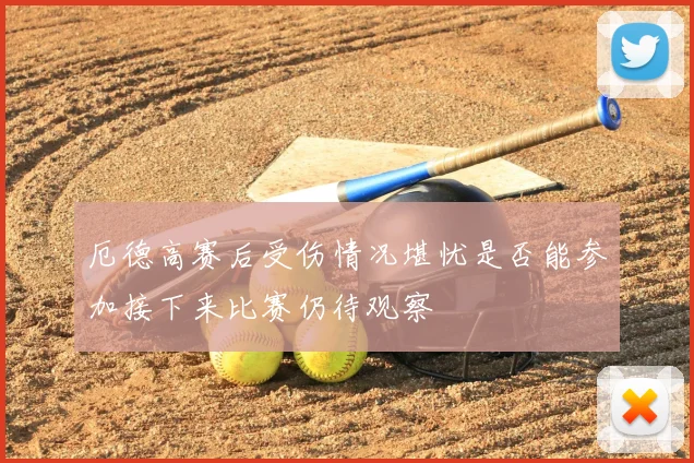 厄德高赛后受伤情况堪忧是否能参加接下来比赛仍待观察